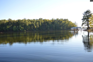 Great 3 bed 2 bath lake front home with nice kitchen cabinets - photo 16
