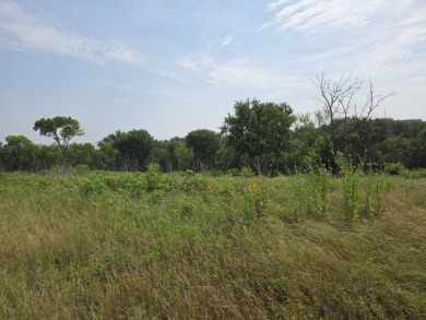 1 acre lot overlooking Lake Halbert w/Boatslip! - photo 8