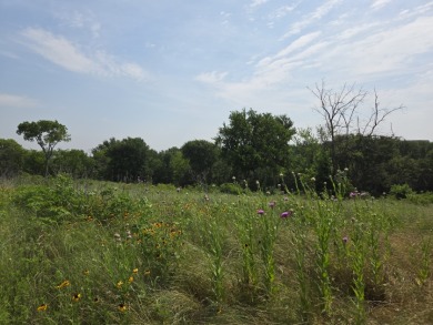 1 acre lot overlooking Lake Halbert w/Boatslip! - photo 13