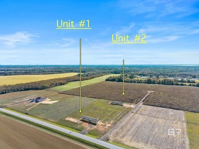 This property consists of two separate residences situated on - photo 4