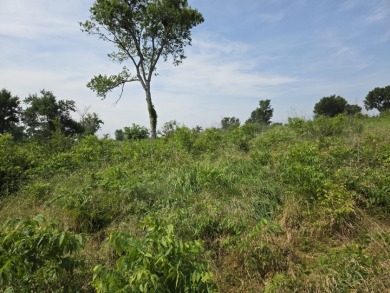 1 acre lot overlooking Lake Halbert w/Boatslip! - photo 11