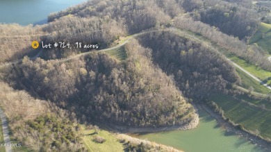 A Double Dip! This .98 Acre, Norris Lake Access & year round - Lake Lot For Sale in Sharps Chapel, Tennessee