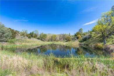 Lake Acreage For Sale in King City, California