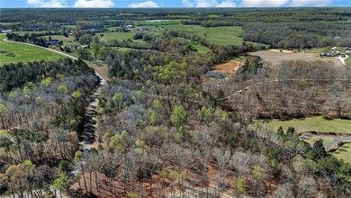 Looking for acreage? This 3.2 acre wooded tract is ideally - photo 5