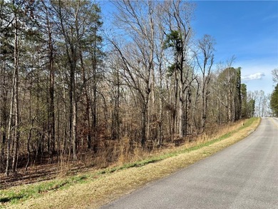 Looking for acreage? This 3.2 acre wooded tract is ideally - photo 7