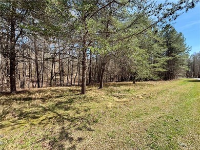 Looking for acreage? This 3.2 acre wooded tract is ideally - photo 8