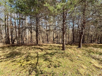 Looking for acreage? This 3.2 acre wooded tract is ideally - photo 9