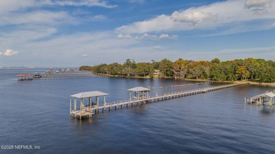 SPECTACULAR 8+ Acres RIVER FRONT ESTATE! ONE OF A KIND! Over 7 - photo 12