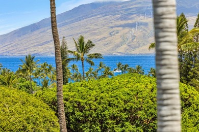 Nestled in one of Wailea's most desirable locations, this - photo 15