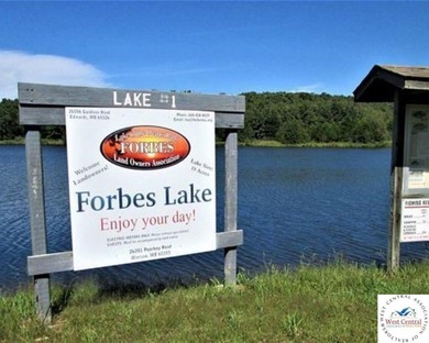 2.784 Acres of Waterfront in Forbes Lake of the Ozarks. Forbes - photo 10