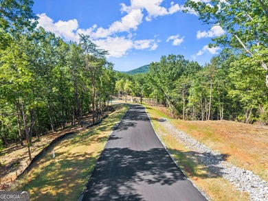 Beautiful partially wooded homesite with some slope. One of the - photo 1