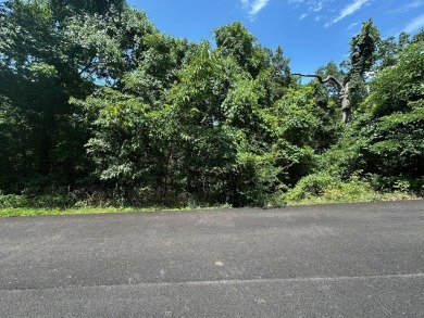 Lake Lot For Sale in Kimberling City, Missouri