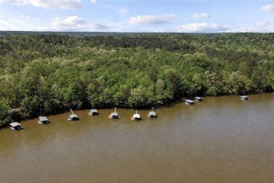 LOCATION, LOCATION ! A custom forever home on Lake Hartwell - photo 46