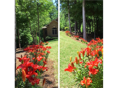 LOCATION, LOCATION ! A custom forever home on Lake Hartwell - photo 48