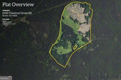 Lake Acreage For Sale in Shiloh, Georgia