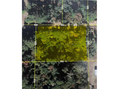 Lake Ocklawaha Lot For Sale in Fort Mccoy Florida