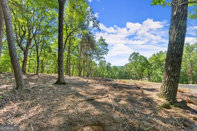 Beautiful sloped, partially wooded homesite. With incredible - photo 3