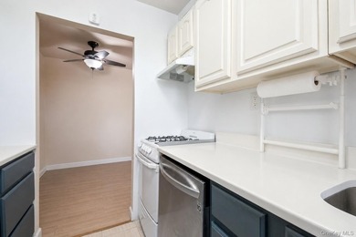 Welcome to this beautifully maintained and sun-filled 1-bedroom - photo 7