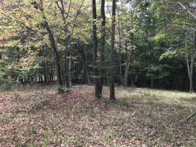 Freedom Lake  Lot For Sale in Dunlap Tennessee