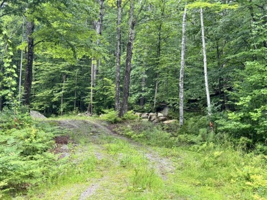 Lake Lot For Sale in Canaan, Maine