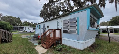 Little Lake Henderson Home For Sale in Inverness Florida