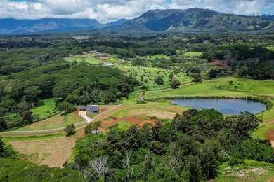 Experience an exciting revitalization of Kulana in this - photo 28