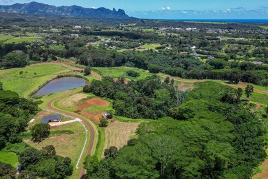 Experience an exciting revitalization of Kulana in this - photo 29