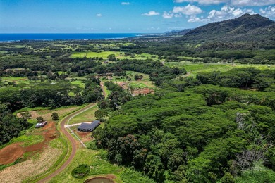 Experience an exciting revitalization of Kulana in this - photo 30