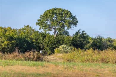 Legacy ranch held in the same family since the original deed in - photo 7