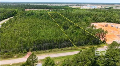 5 ACRES for SALE just steps from the Foley Beach Express. Easy - photo 4