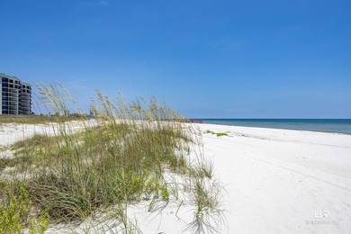 Where Vision Meets the Shoreline with 100 feet of direct Gulf - photo 4