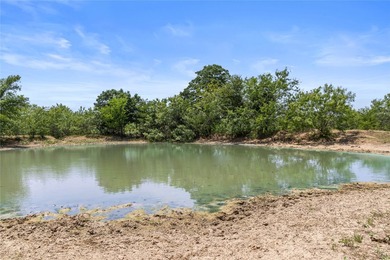 733+/- Acre Legacy Ranch - Kaufman County - Kemp, Texas Rare - photo 15