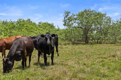 733+/- Acre Legacy Ranch - Kaufman County - Kemp, Texas Rare - photo 16