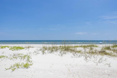 Where Vision Meets the Shoreline with 100 feet of direct Gulf - photo 8