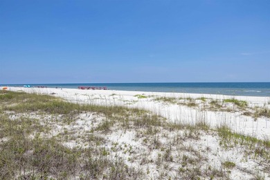 Where Vision Meets the Shoreline with 100 feet of direct Gulf - photo 9