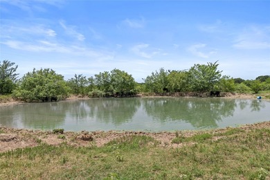 733+/- Acre Legacy Ranch - Kaufman County - Kemp, Texas Rare - photo 19