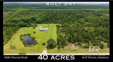 ATTN: INVESTORS, DEVELOPERS, BOAT & BEACH LOVERS! 40 ACRES for - photo 4
