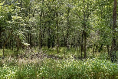 733+/- Acre Legacy Ranch - Kaufman County - Kemp, Texas Rare - photo 24