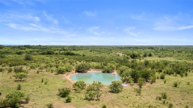 733+/- Acre Legacy Ranch - Kaufman County - Kemp, Texas Rare - photo 26