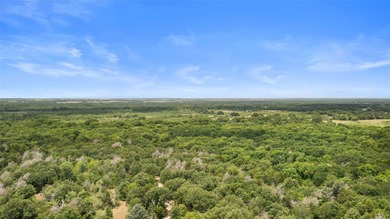 733+/- Acre Legacy Ranch - Kaufman County - Kemp, Texas Rare - photo 27