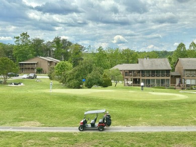 Beautiful upper level condo located in a gated Lake Cumberland - photo 29