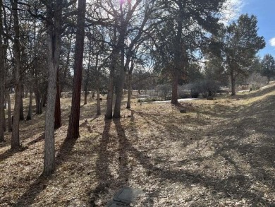 Lake Lot For Sale in Klamath Falls, Oregon