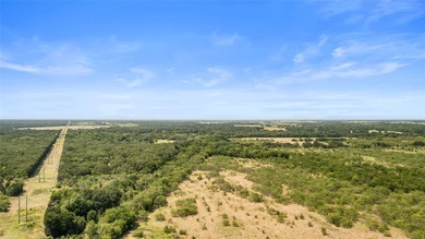 733+/- Acre Legacy Ranch - Kaufman County - Kemp, Texas Rare - photo 33