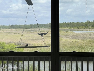 NONE OTHER LIKE THIS: This property is nestled in a quiet and - photo 44