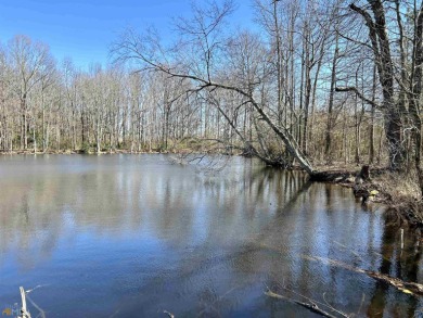 Lake Russell Acreage Sale Pending in Eberton Georgia