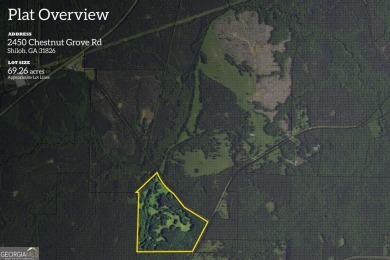 Lake Acreage For Sale in Shiloh, Georgia