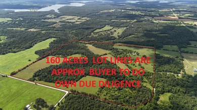 (private lake, pond, creek) Acreage For Sale in Polk Missouri