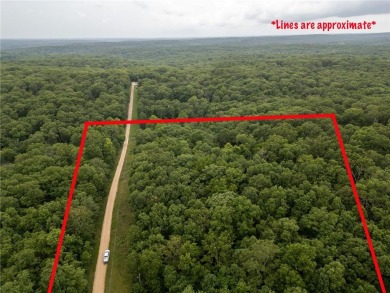 Lake Acreage For Sale in Lincoln, Missouri