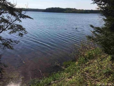 Chaney Lake Acreage For Sale in Bessemer Michigan