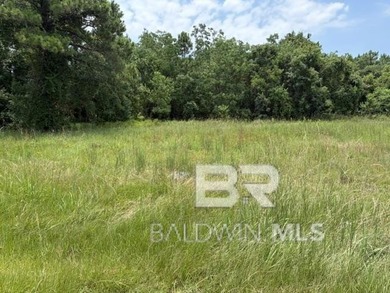 Gulf Shores Building Lot For Sale!!! $99,900!!! Extra large - photo 3
